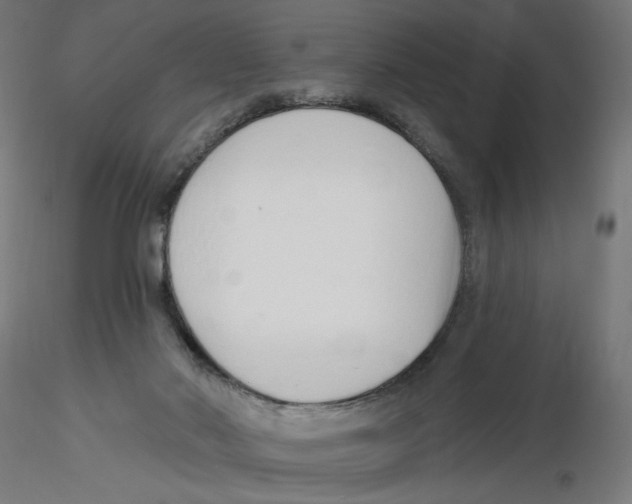 X0000116110022200912211642
