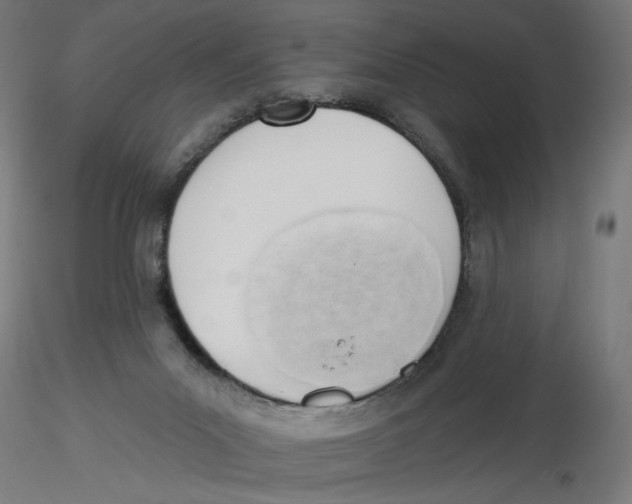 X0000116110023200912211642