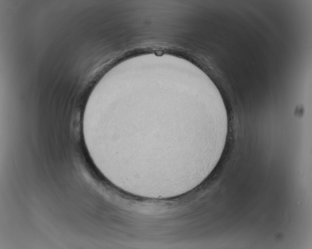 X0000116110024200912211642