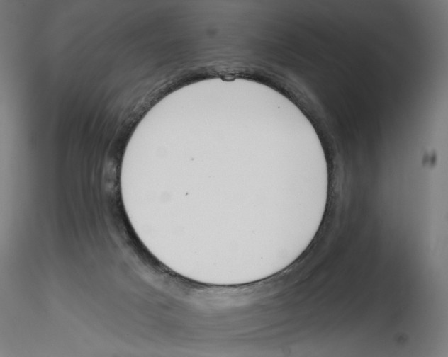 X0000116110025200912211642