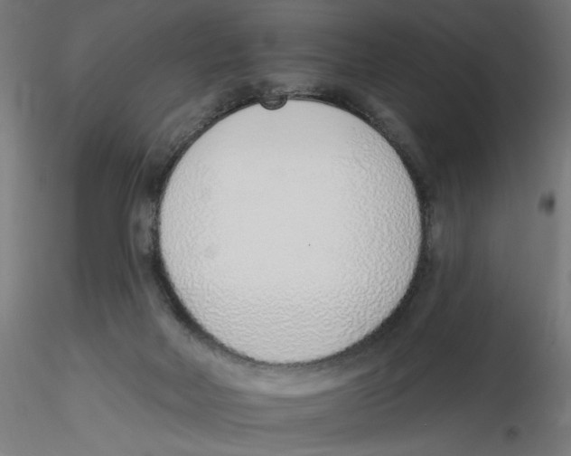 X0000116110026200912211642