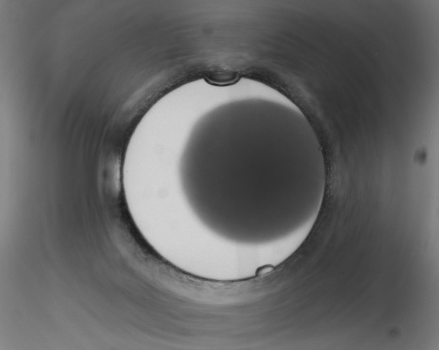 X0000116110027200912211642
