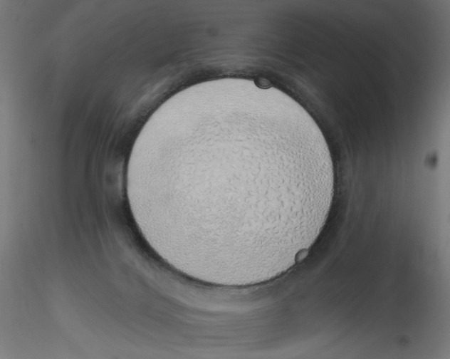 X0000116110028200912211642