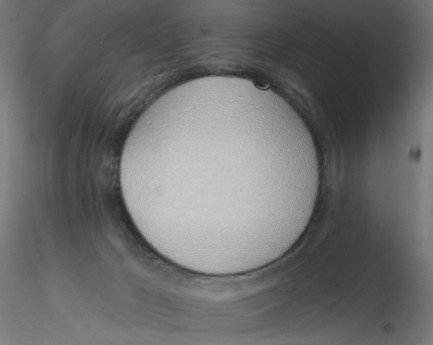X0000116110029200912211642