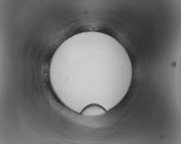 X0000116110030200912211642