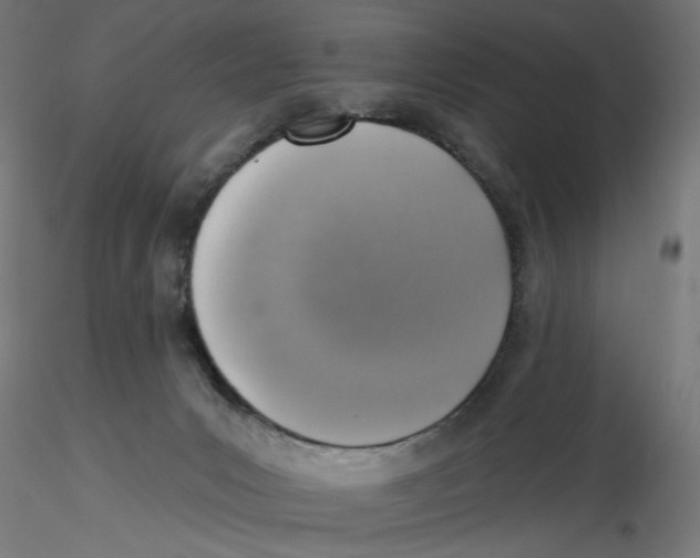 X0000116110031200912211642