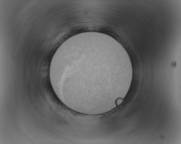 X0000116110032200912211642