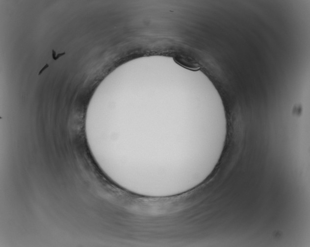 X0000116110033200912211642