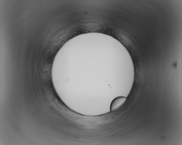 X0000116110034200912211642