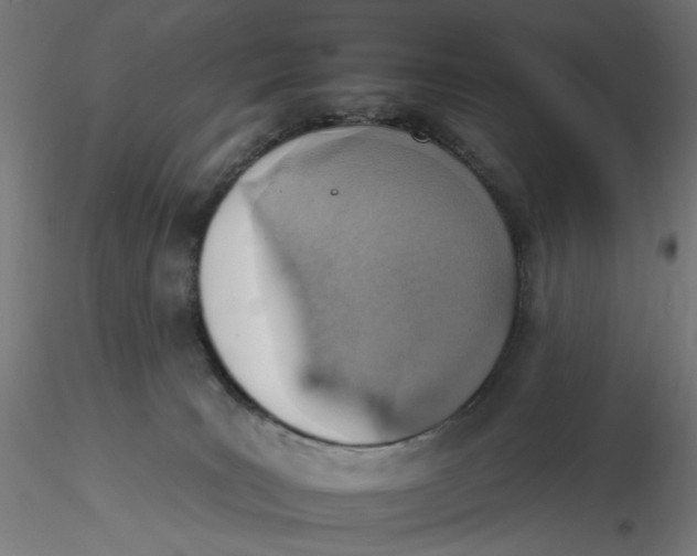 X0000116110035200912211642