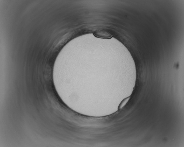 X0000116110036200912211642
