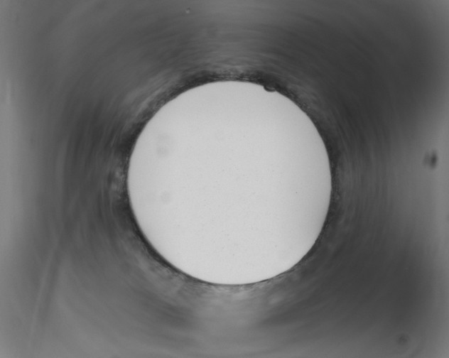 X0000116110037200912211642