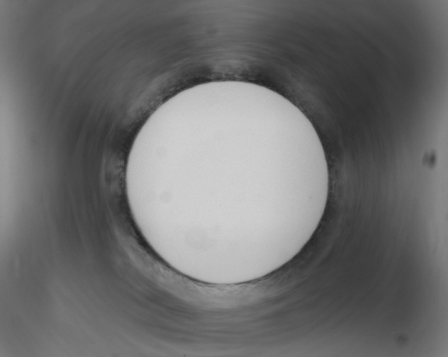 X0000116110038200912211642