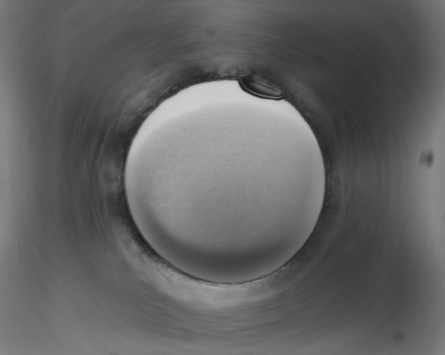 X0000116110039200912211642