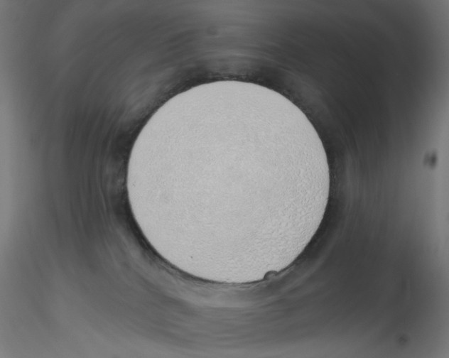 X0000116110040200912211642