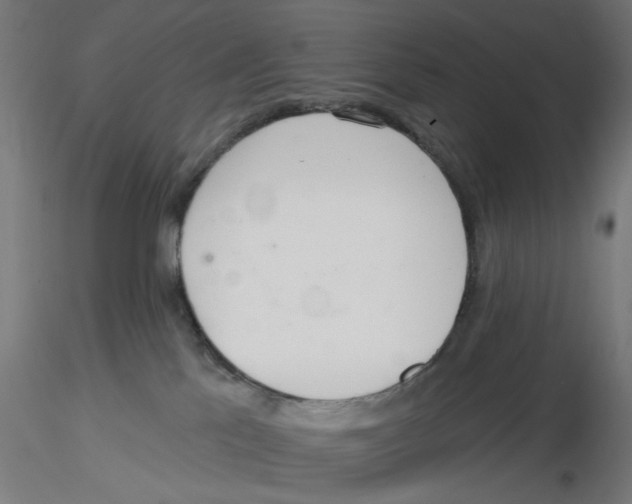 X0000116110041200912211642