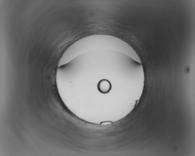 X0000116110043200912211642