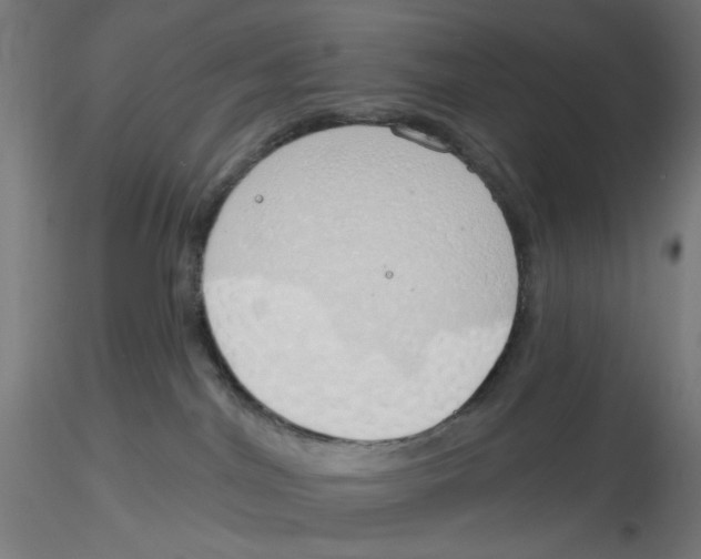 X0000116110044200912211642