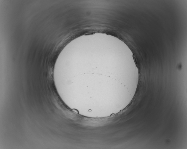 X0000116110045200912211642