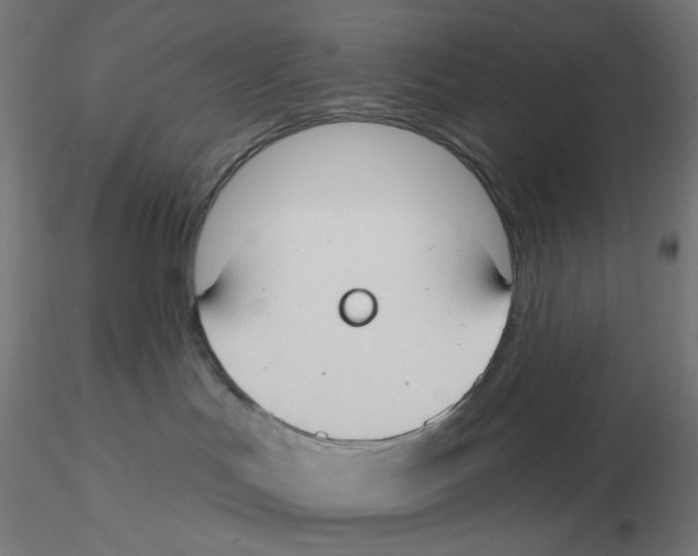 X0000116110047200912211642