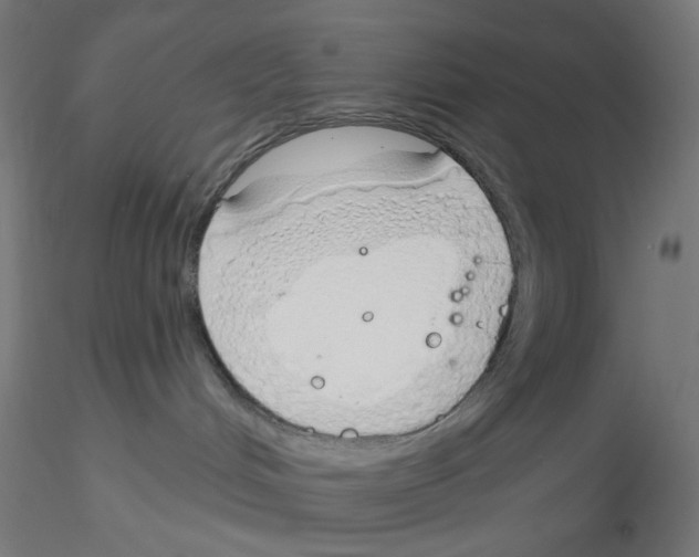 X0000116110048200912211642