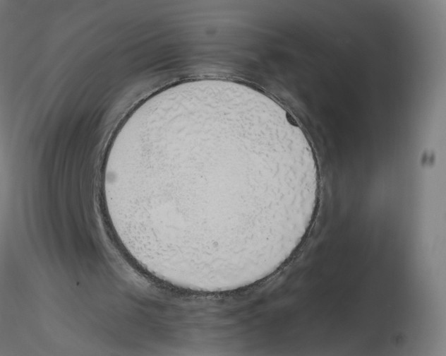 X0000116110049200912211641