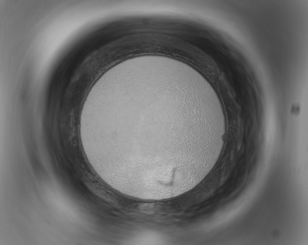 X0000116110050200912211641