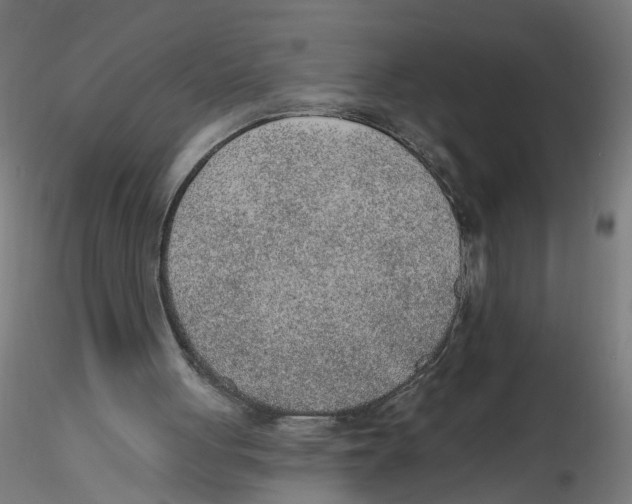 X0000116110051200912211641