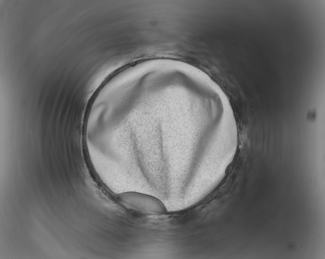 X0000116110052200912211641