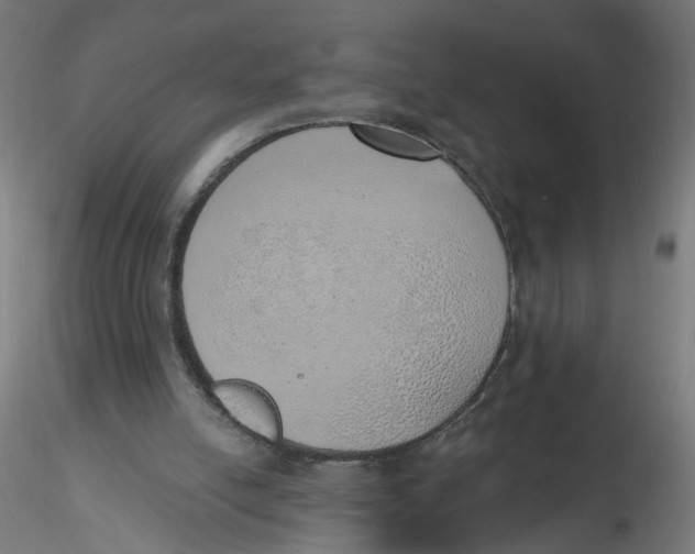 X0000116110054200912211641