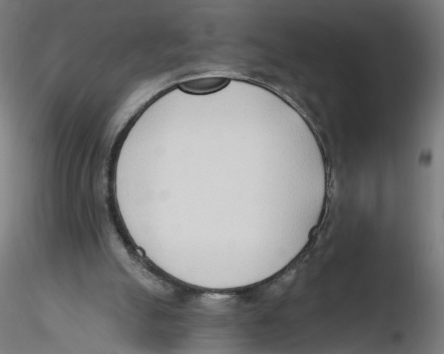 X0000116110055200912211641