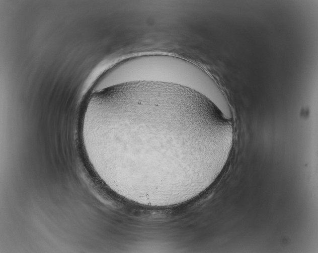 X0000116110056200912211641
