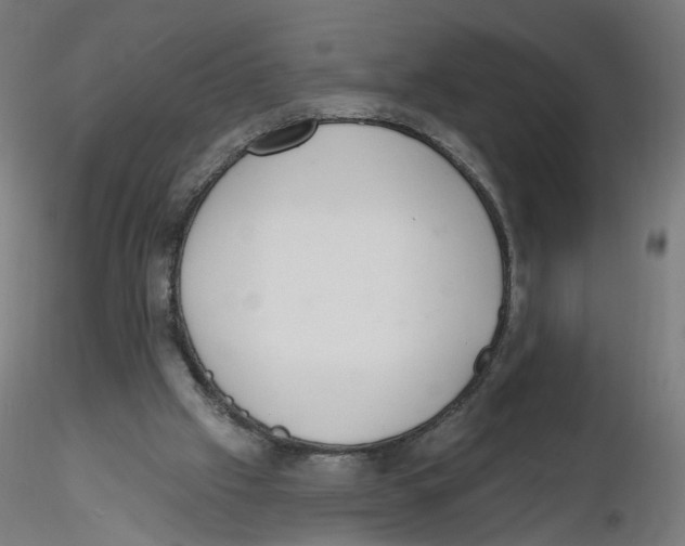 X0000116110057200912211641