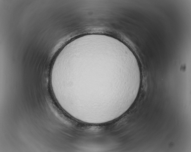X0000116110059200912211641