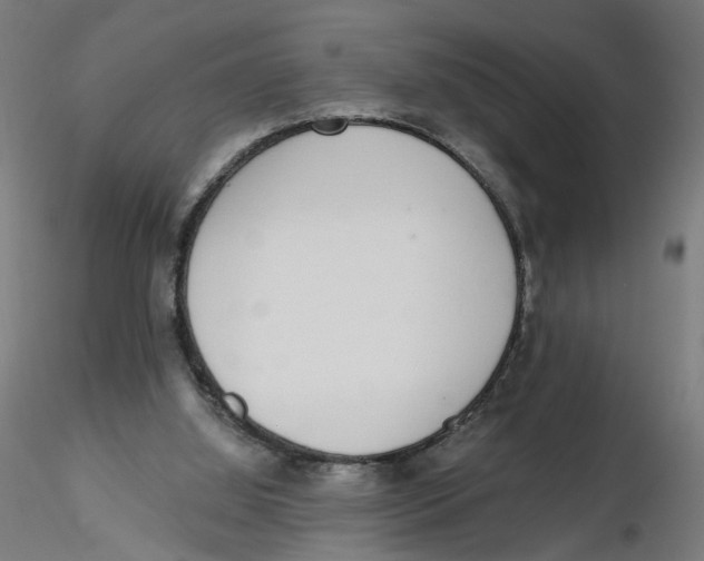 X0000116110060200912211641