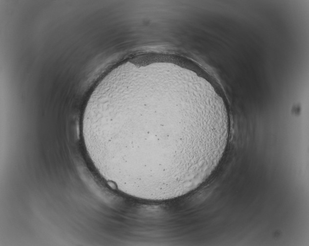 X0000116110061200912211641
