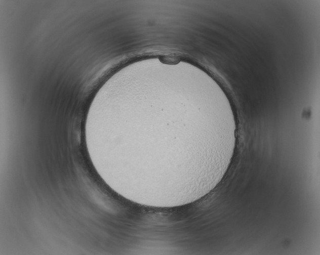 X0000116110062200912211641