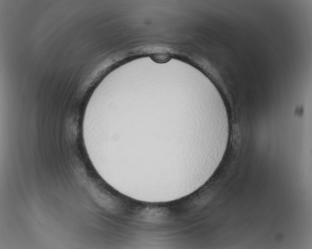 X0000116110063200912211641