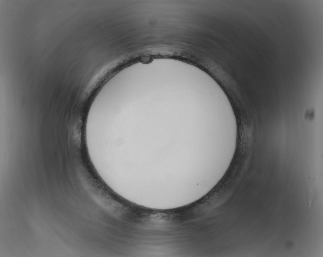 X0000116110064200912211641