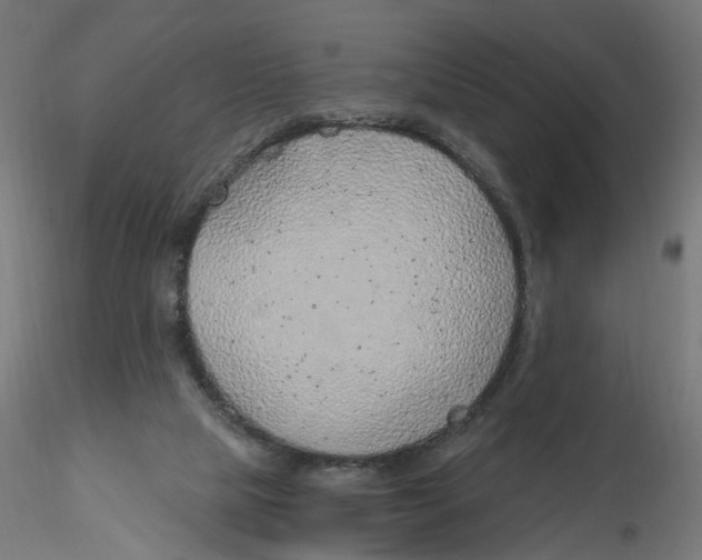 X0000116110065200912211641