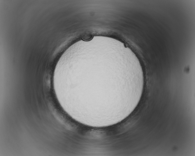 X0000116110067200912211641