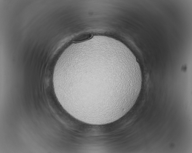 X0000116110068200912211641