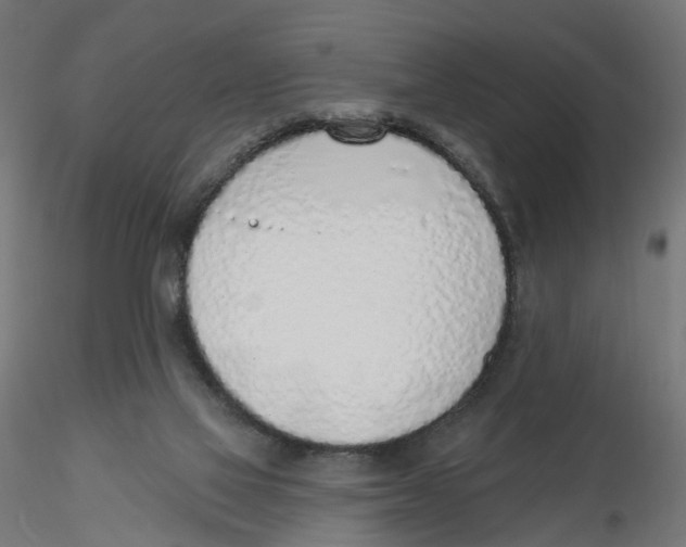 X0000116110069200912211641