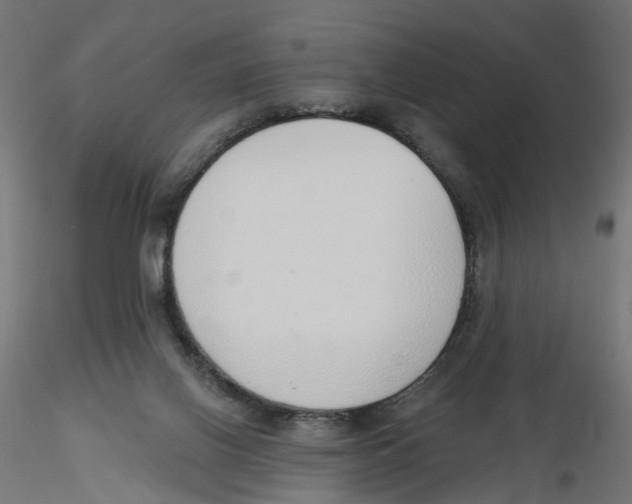 X0000116110070200912211641