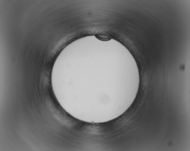 X0000116110071200912211641