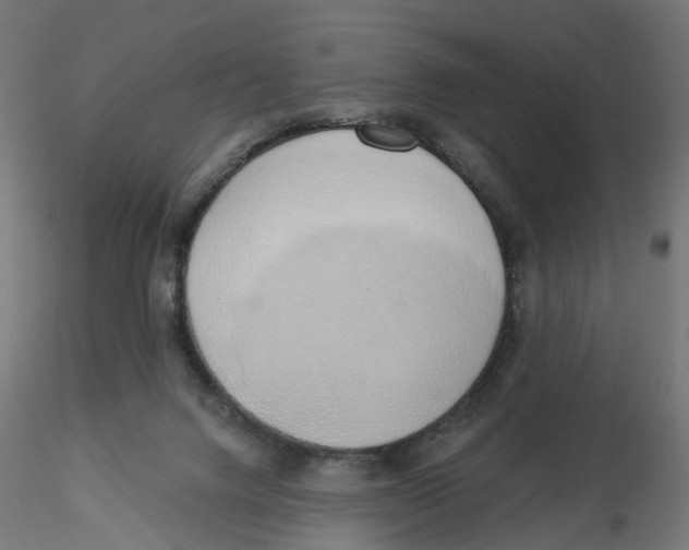 X0000116110072200912211641