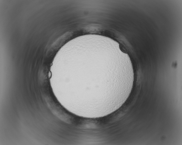 X0000116110073200912211641