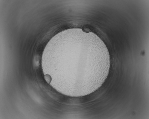 X0000116110075200912211641