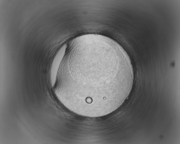 X0000116110076200912211641