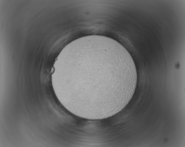 X0000116110077200912211641